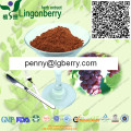 100% natural Grape Seed Extract OPC / Grape seed powder (Proanthocyanidins)